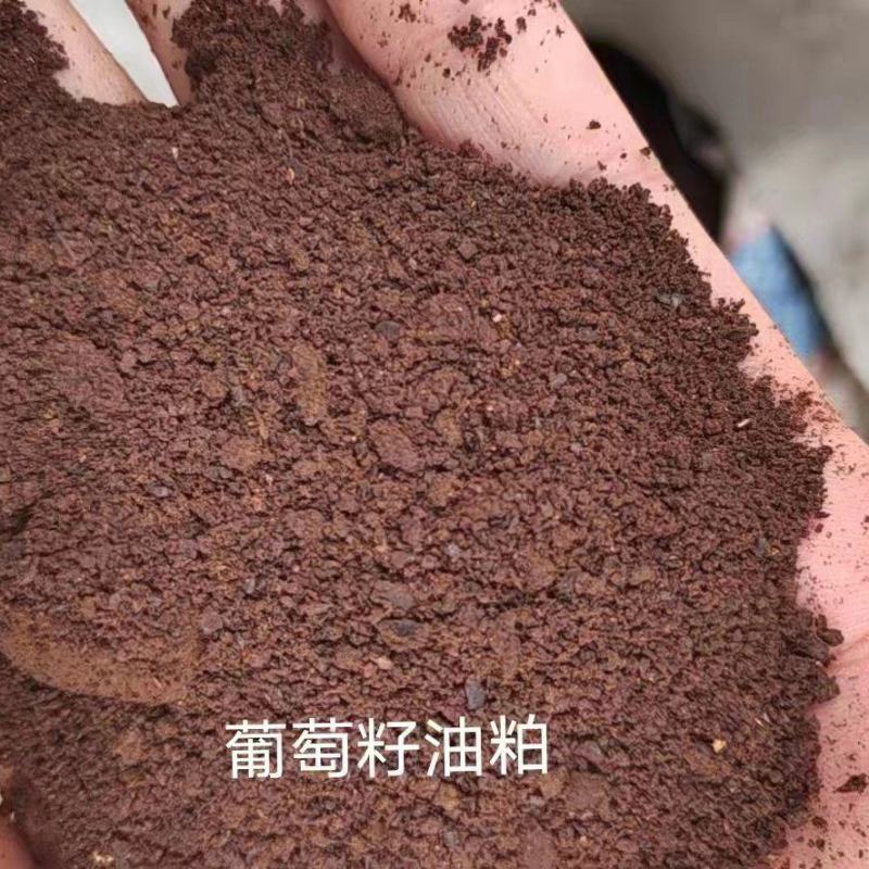 葡萄籽粕蛋白8脂肪6适合反刍家禽