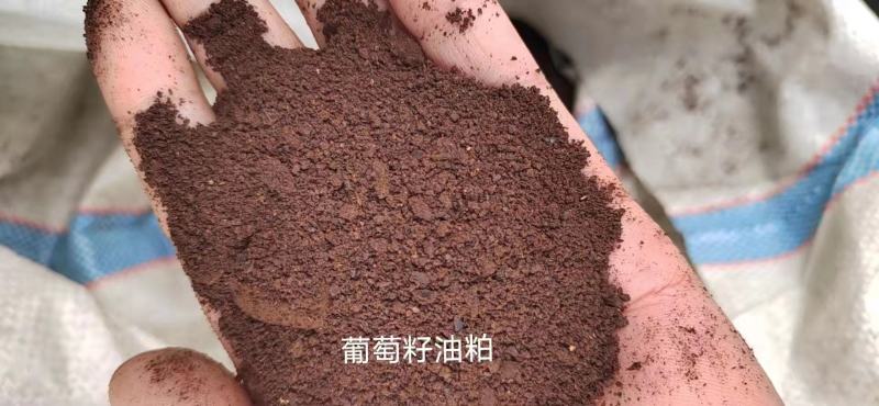 葡萄籽粕蛋白8脂肪6适合反刍家禽