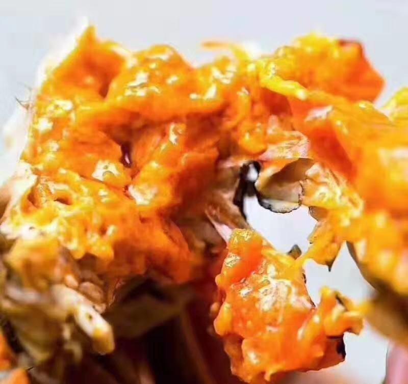 阳澄湖大闸蟹食用3.0两母蟹产地发货，质量保证