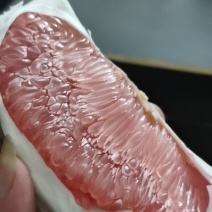 大量三红蜜柚已经上市，品质上等，各规格果都有
