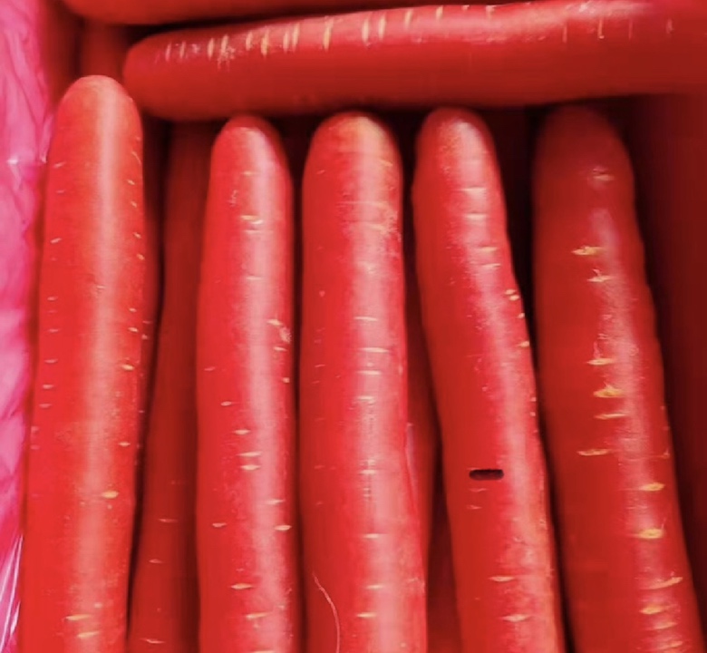 胡萝卜蒸制过程