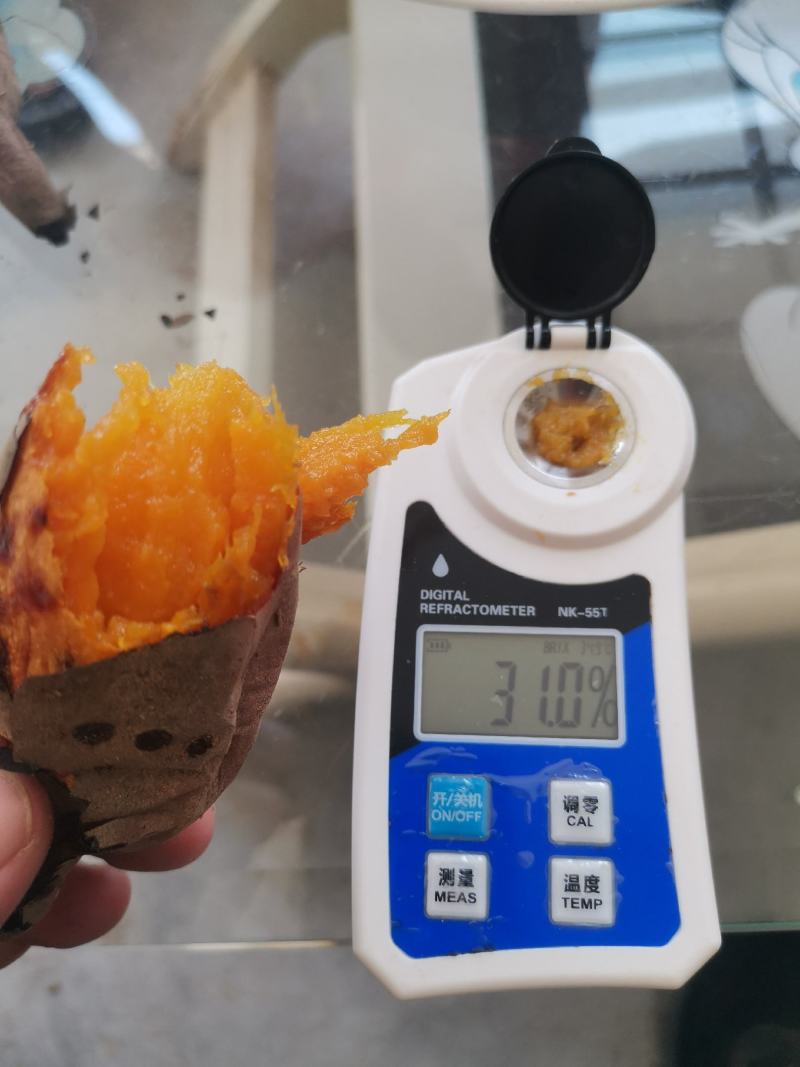 正宗烟台烟薯25基地种植价格品质优势专业对接平台、社区团