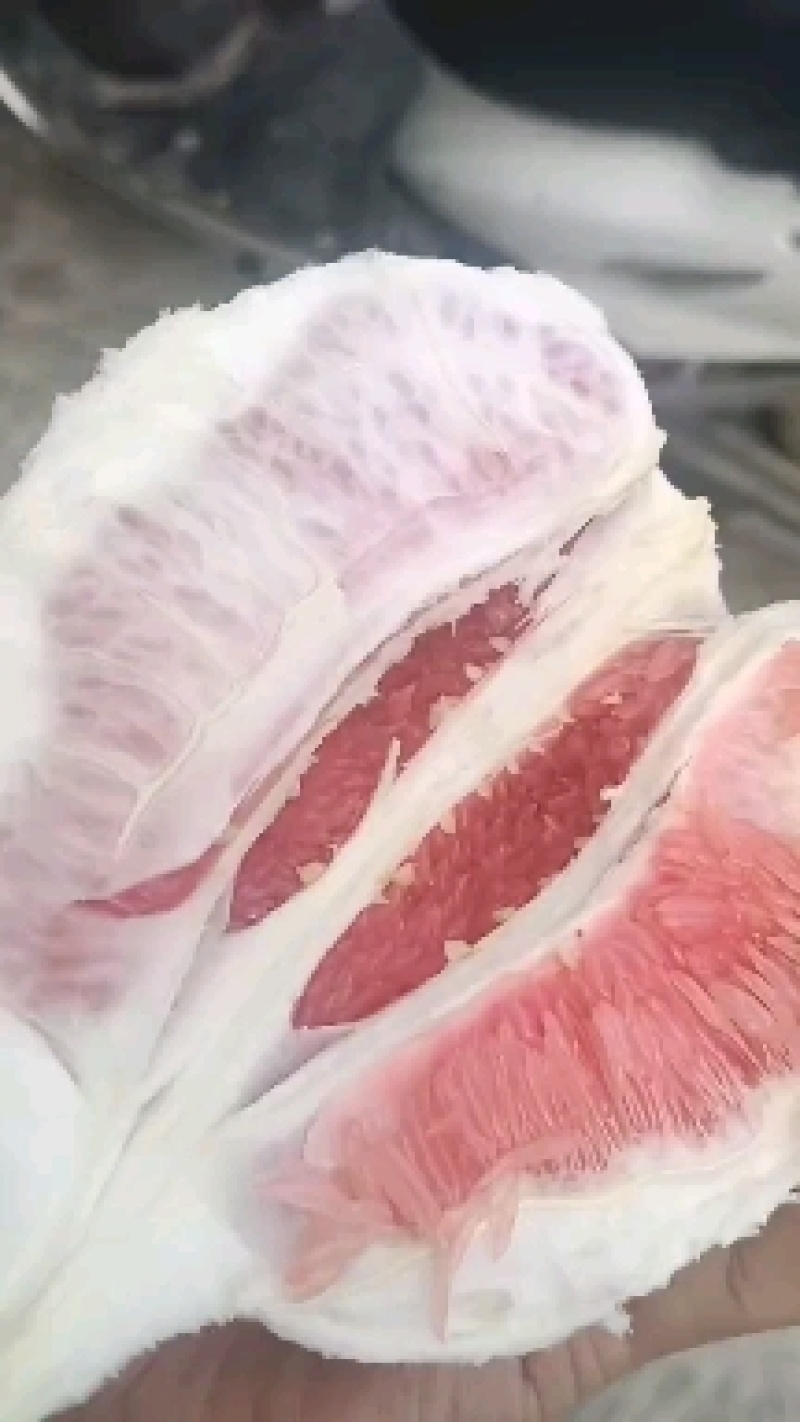福建红柚