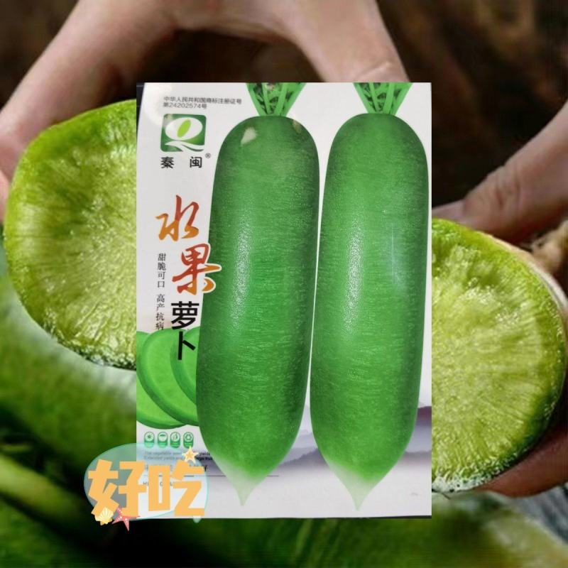 水果萝卜种子生吃脆甜农家蔬菜种四季播种阳台盆栽绿萝卜