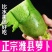 潍县青萝卜种子水果萝卜青萝卜生吃脆嫩秋季种蔬菜种子籽