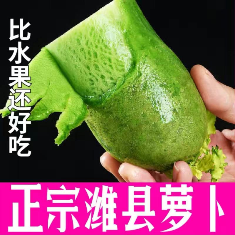 潍县青萝卜种子水果萝卜青萝卜生吃脆嫩秋季种蔬菜种子籽