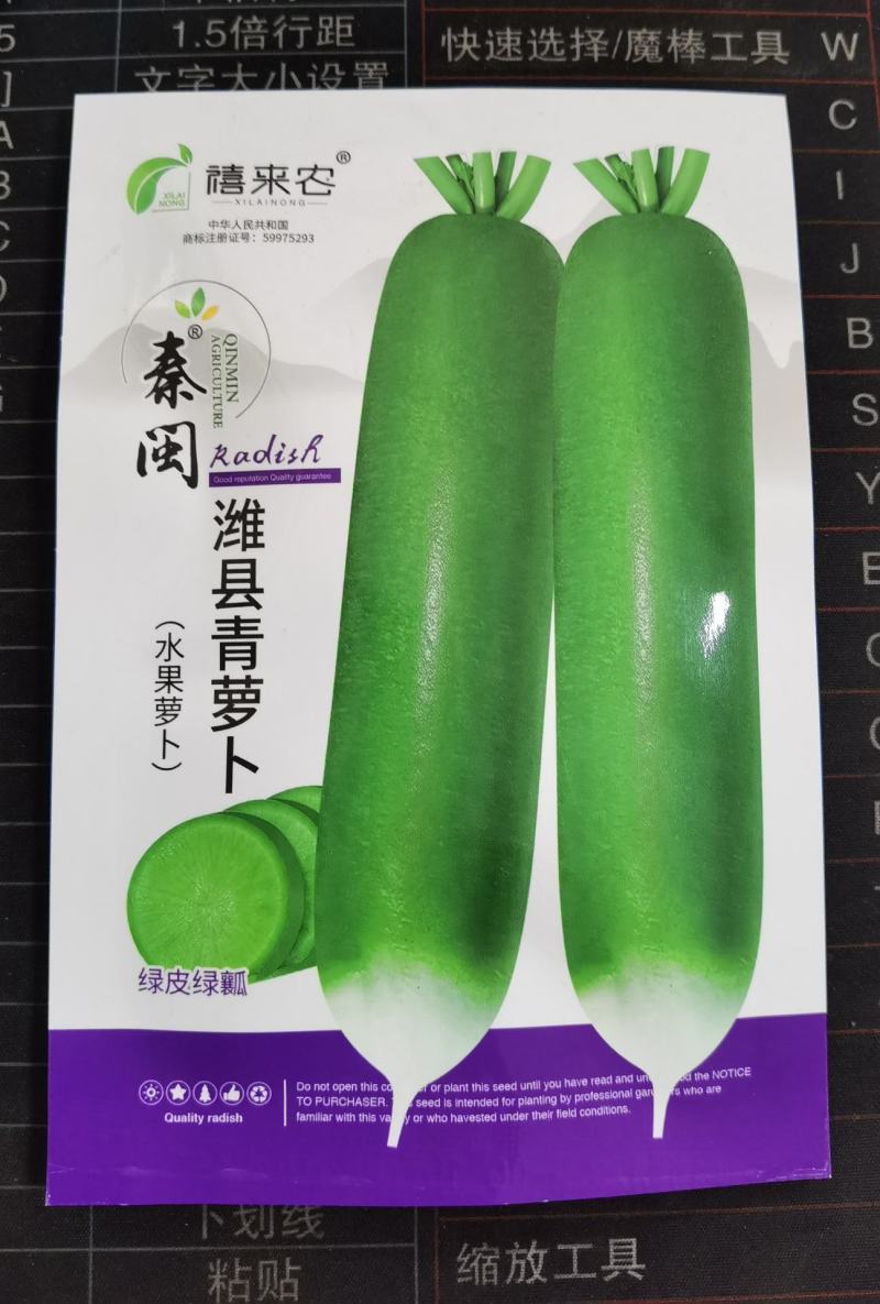潍县青萝卜种子水果萝卜青萝卜生吃脆嫩秋季种蔬菜种子籽