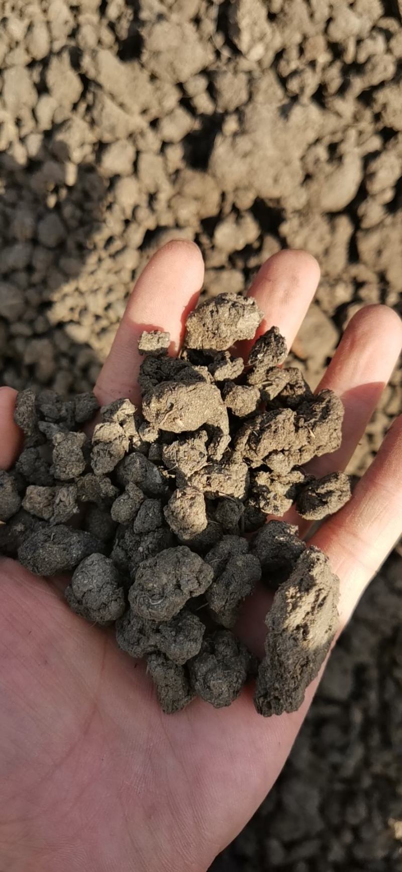 纯牛粪纯干牛粪块颗粒牛粪增加土壤肥力改善土壤厂家