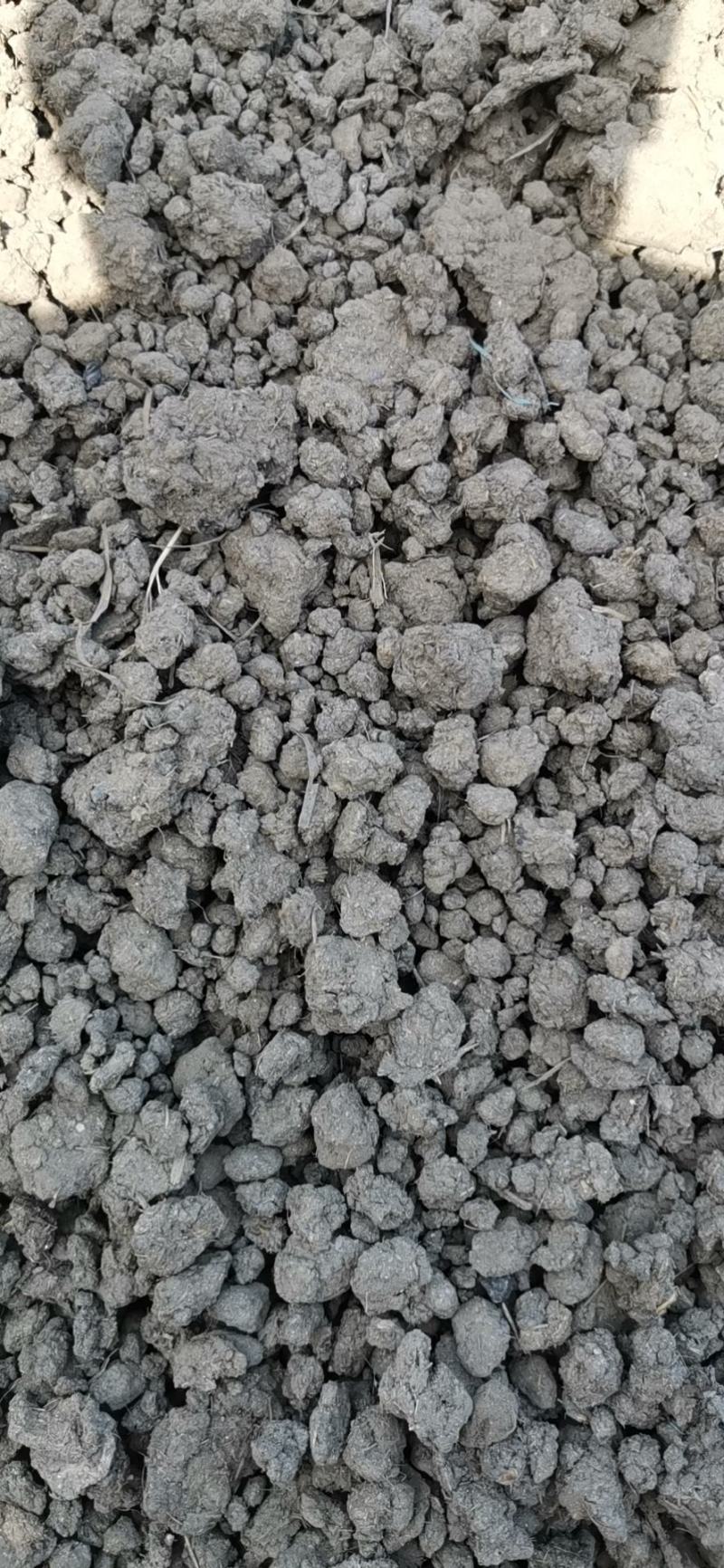 纯牛粪纯干牛粪块颗粒牛粪增加土壤肥力改善土壤厂家