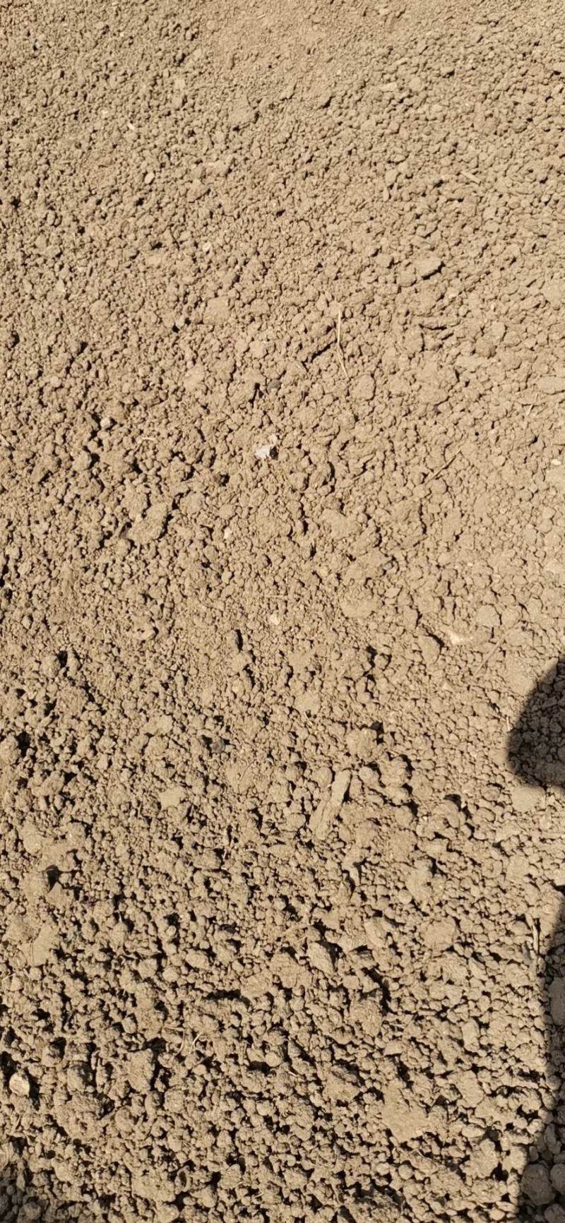 纯牛粪纯干牛粪块颗粒牛粪增加土壤肥力改善土壤厂家
