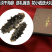 淡干海参干货礼盒海参礼盒装年货干海参批发礼品送礼一件代发