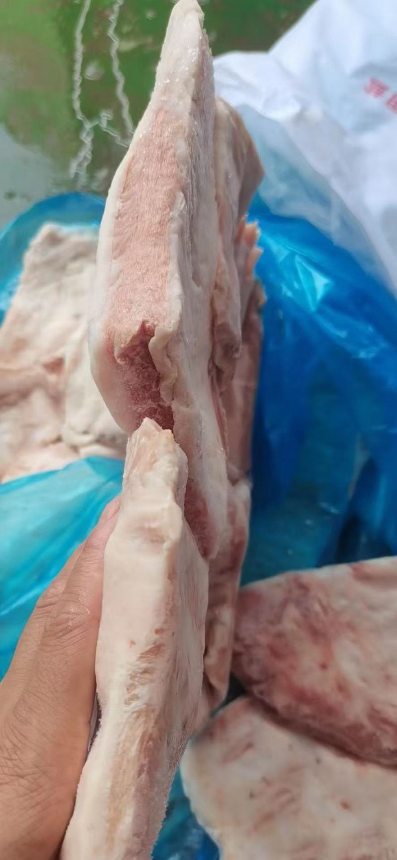 肥猪二八肉清品质保障冷冻猪肉猪副产品