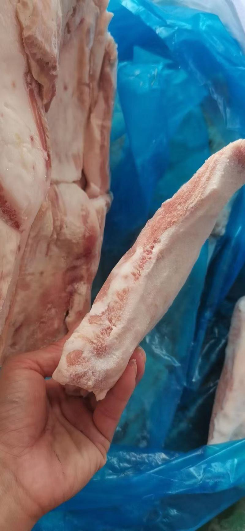 肥猪二八肉清品质保障冷冻猪肉猪副产品