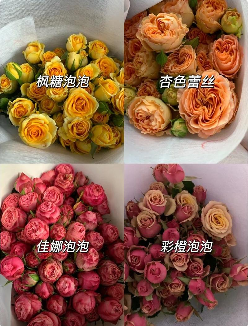 多头玫瑰各种品种都有物美价廉