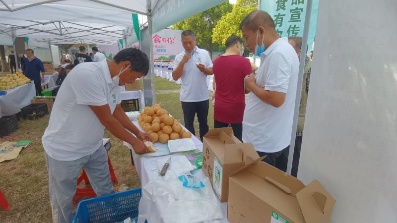 绿色食品秋月梨上市中，酥脆无渣，种植基地。