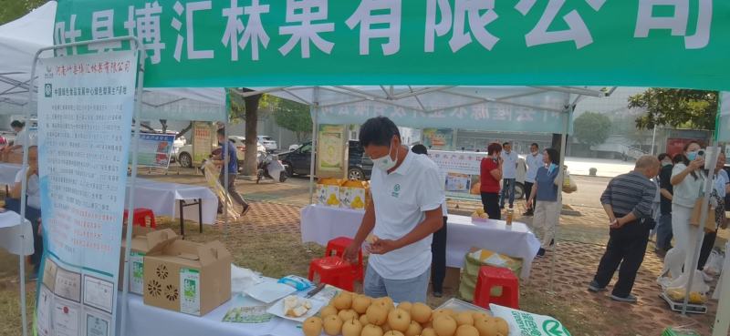 绿色食品秋月梨上市中，酥脆无渣，种植基地。