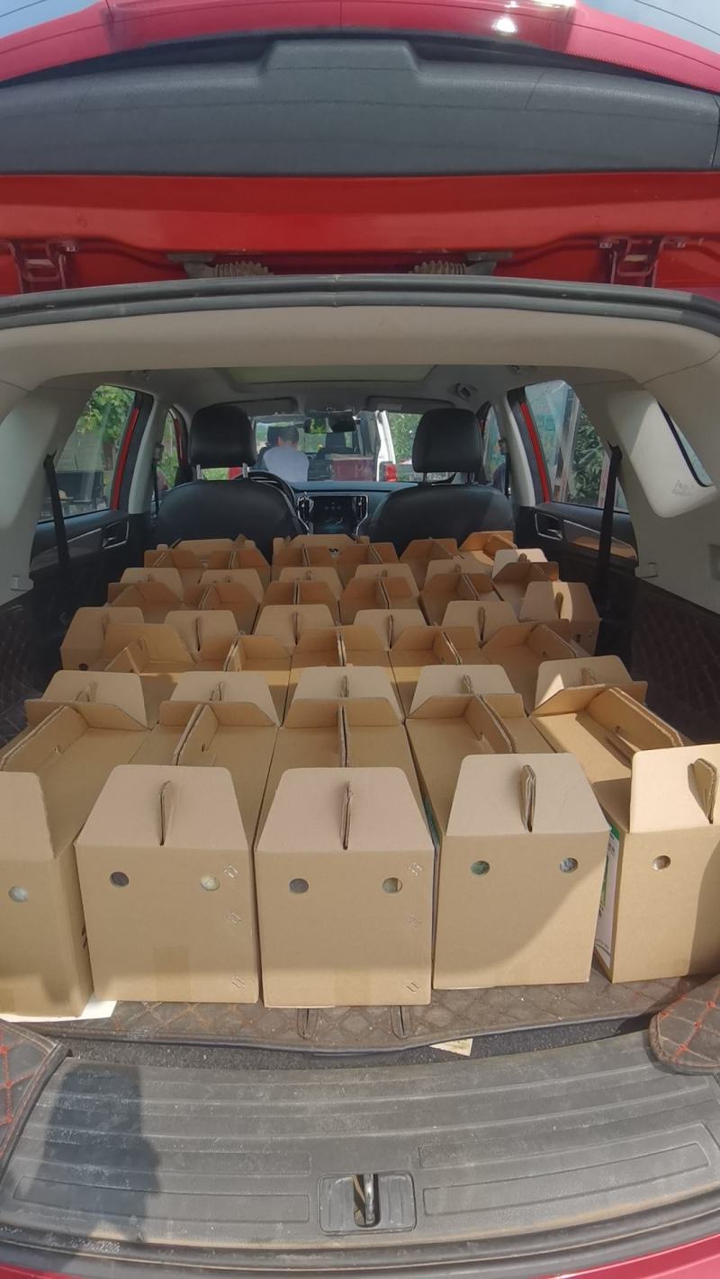 绿色食品秋月梨上市中，酥脆无渣，种植基地。