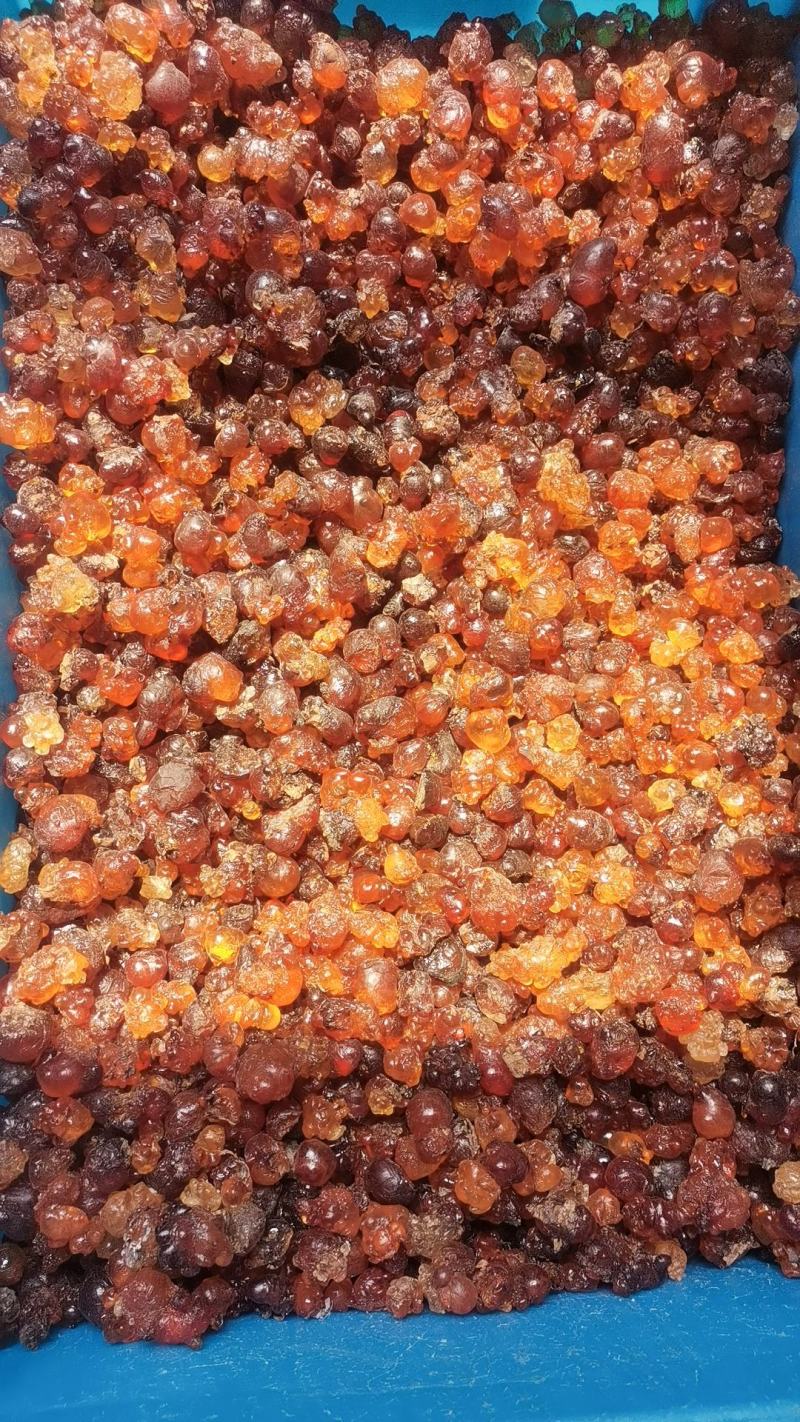 桃胶桃花泪今年新货