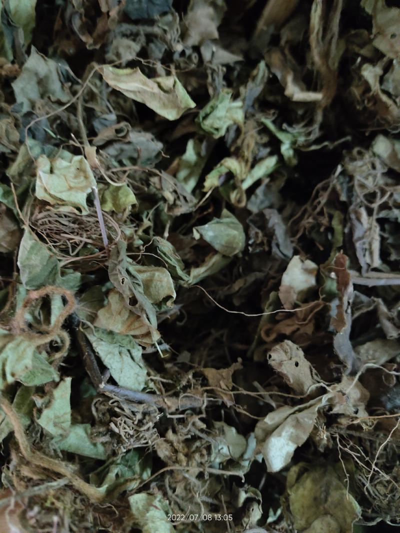 大山中草药材兔耳草兔耳风土玉竹白蝶花干品无硫