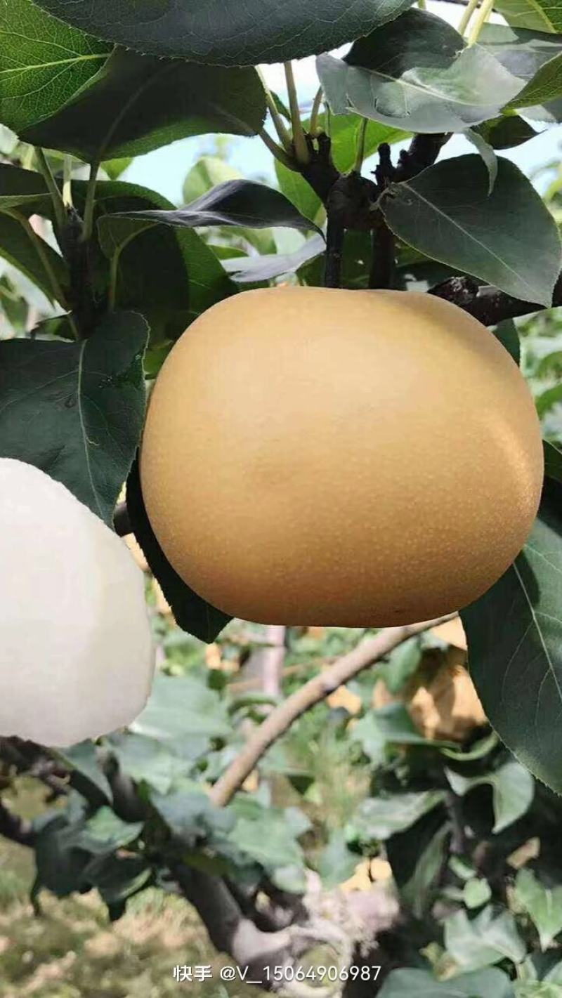 正在销售