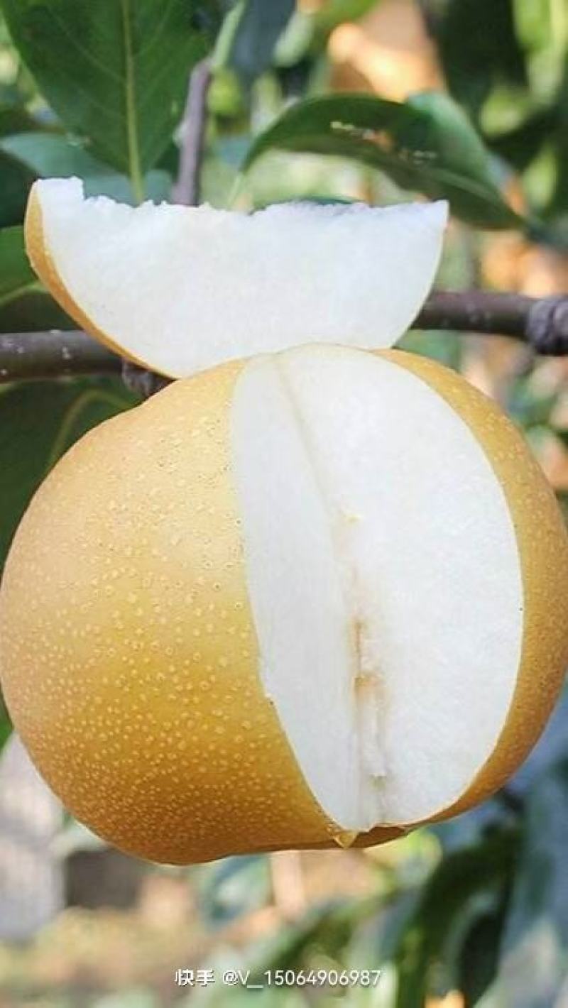 正在销售