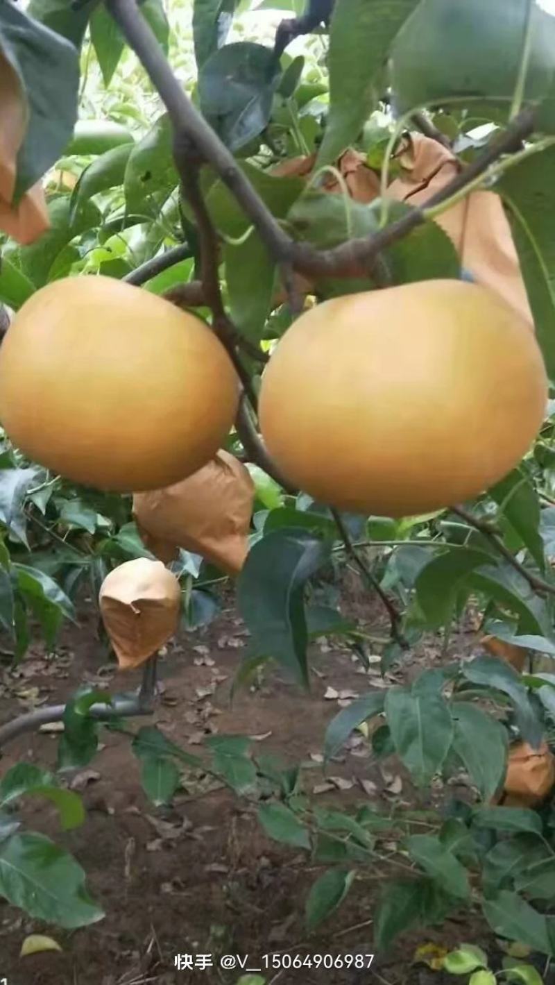 正在销售