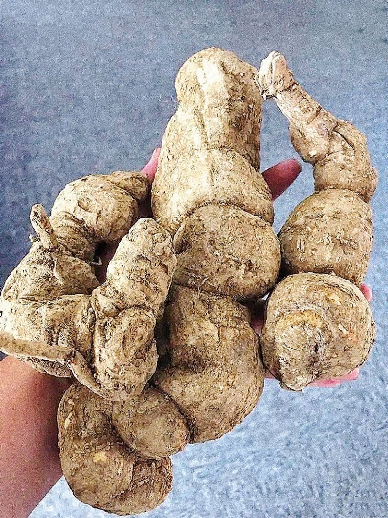 防己~野生粉防己干货-含药量高-长年供应，质量保证