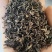 沙棘茶50g沙棘茶沙棘沙棘叶茶茶叶代用茶