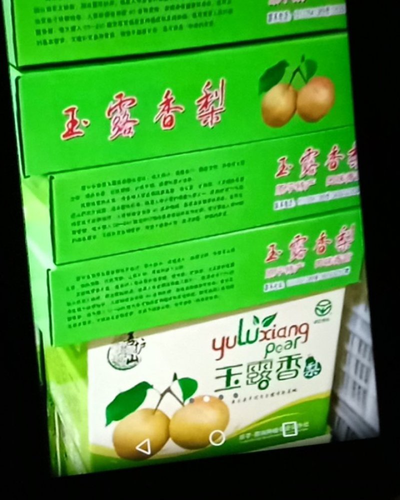 酥梨和玉露香梨