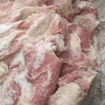 肥猪三七品质保障冷冻猪肉猪副产品