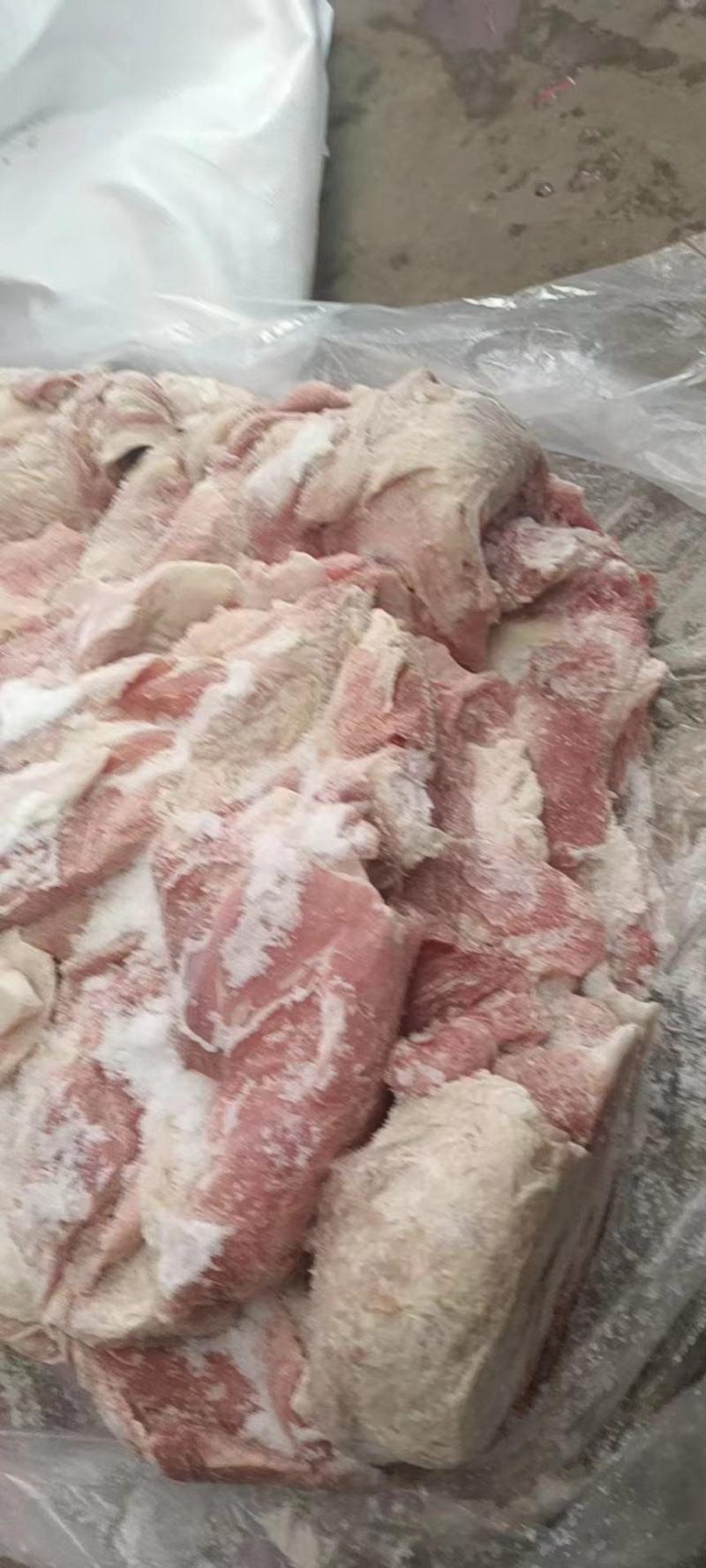 肥猪三七品质保障冷冻猪肉猪副产品