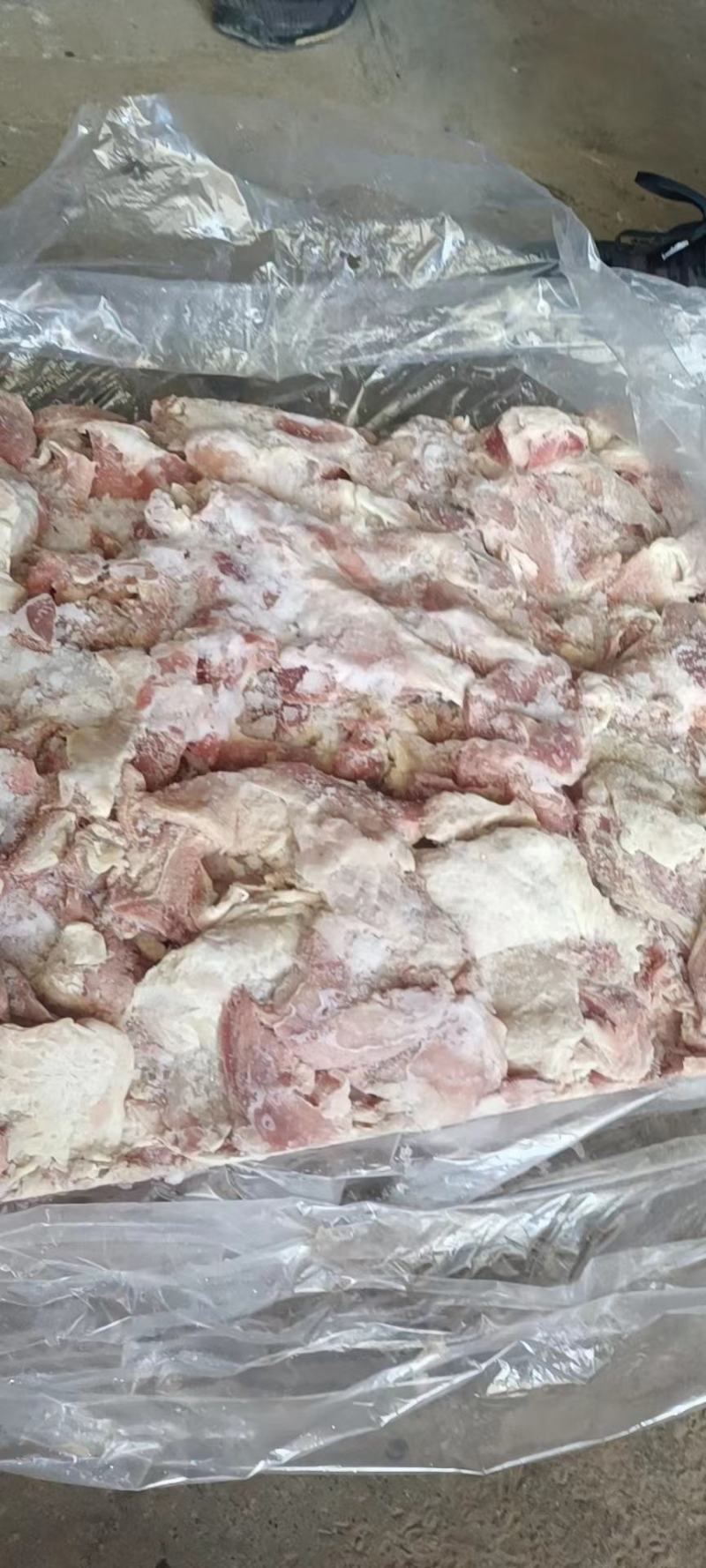 肥猪三七品质保障冷冻猪肉猪副产品
