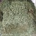 金钱草，水洗无泥沙，阴凉自然干货，青青绿绿色，清香味靓货