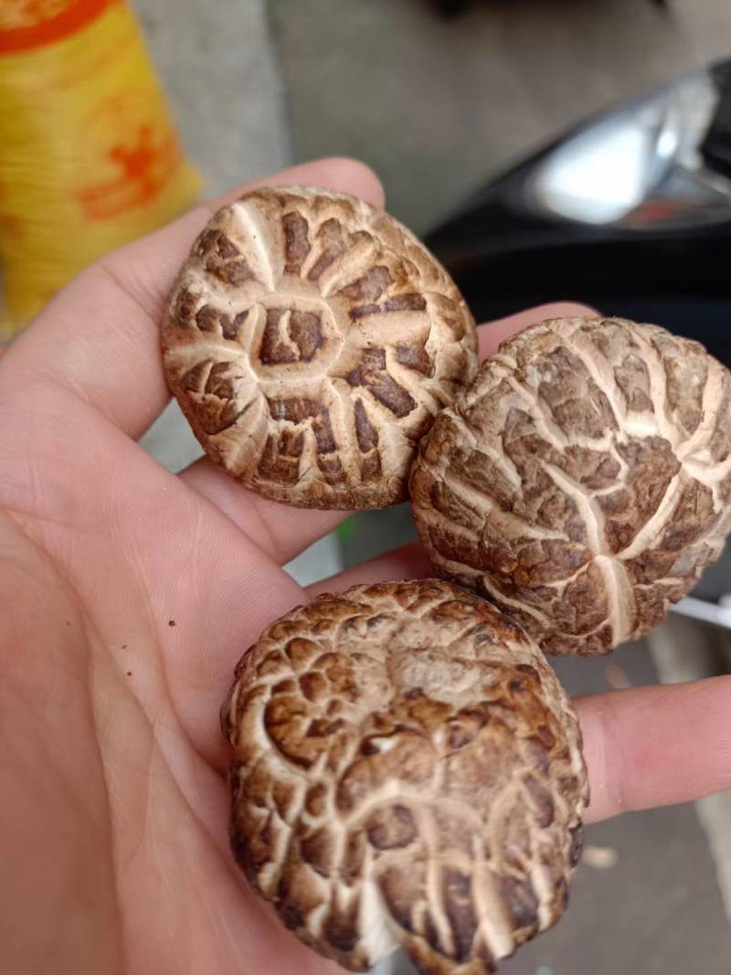 花菇/味道好极花菇/你罢工本地花菇
