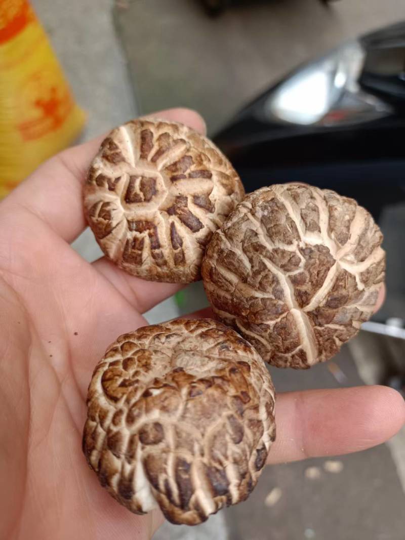 花菇/味道好极花菇/你罢工本地花菇