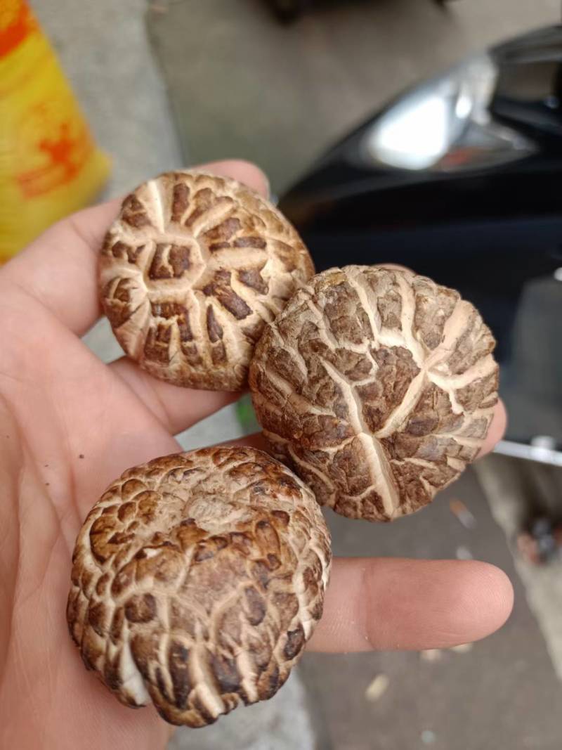 花菇/味道好极花菇/你罢工本地花菇