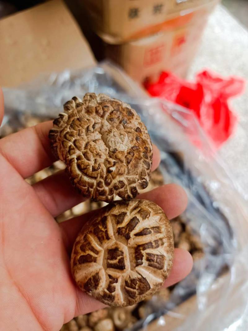 花菇/味道好极花菇/你罢工本地花菇