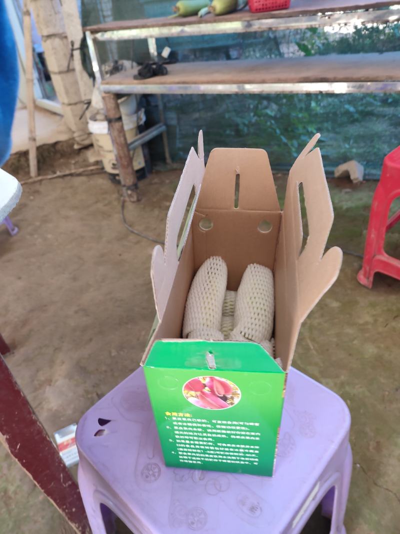 八月瓜，八月炸，