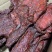 60斤厂猪肉大块里脊肉（肉类品源头工厂一手货源量大从优）