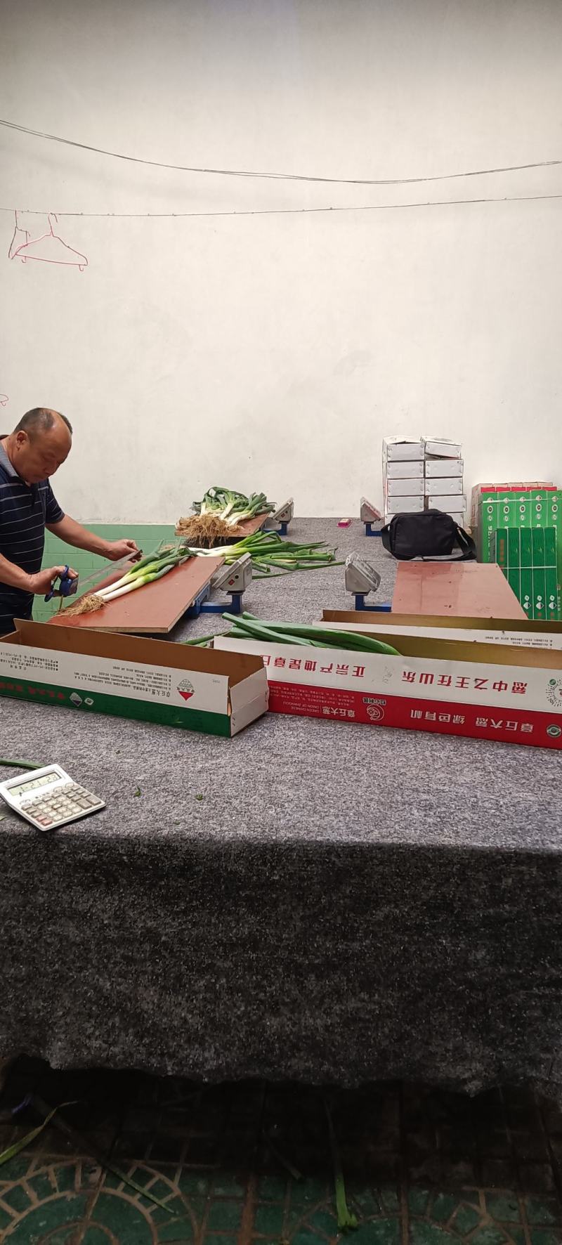 章丘长白大葱盒装精品大葱