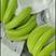 特价精品菲律宾香蕉，全年大量供应，商超，电商，批发零售。