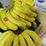 特价精品菲律宾香蕉，全年大量供应，商超，电商，批发零售。