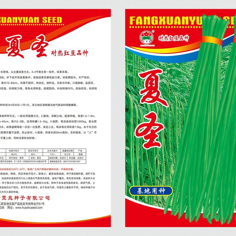 【缸豆种子】夏圣耐热豆角品种颜色翠绿长75到80cm