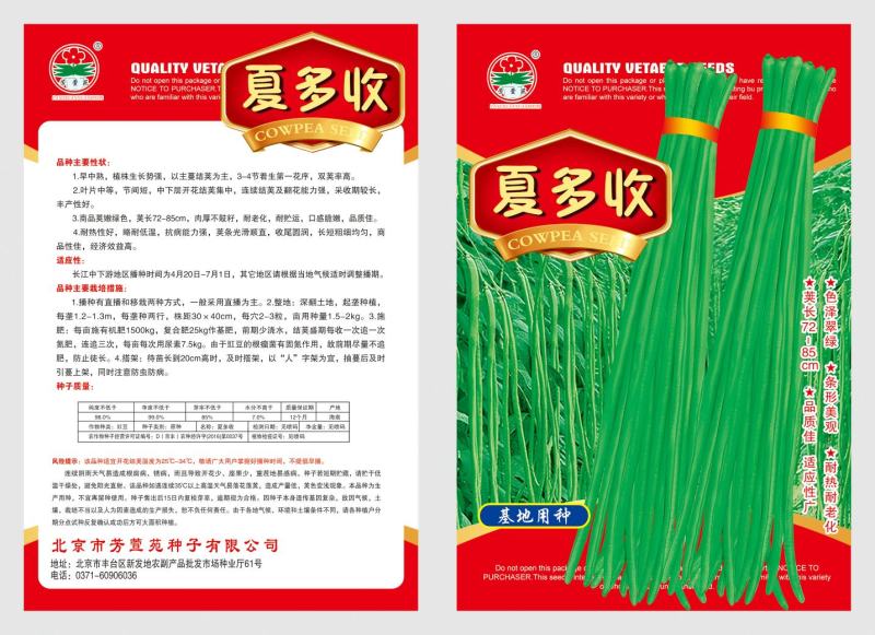 翠绿条豆角种子颜色靓丽长80公分