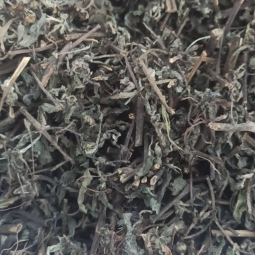 墨旱莲旱莲草中药材批发旱莲草质量保证量大从优