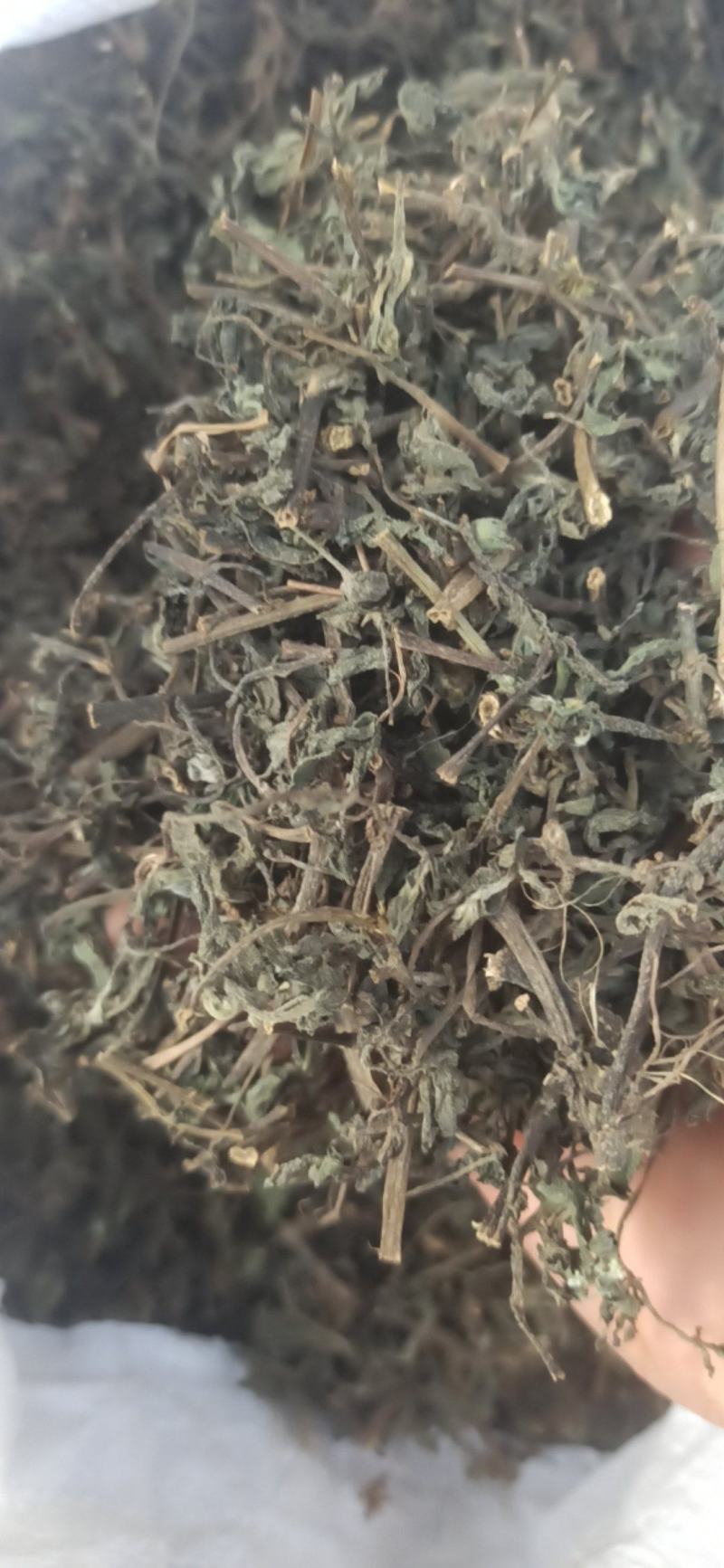 墨旱莲旱莲草中药材批发旱莲草质量保证量大从优