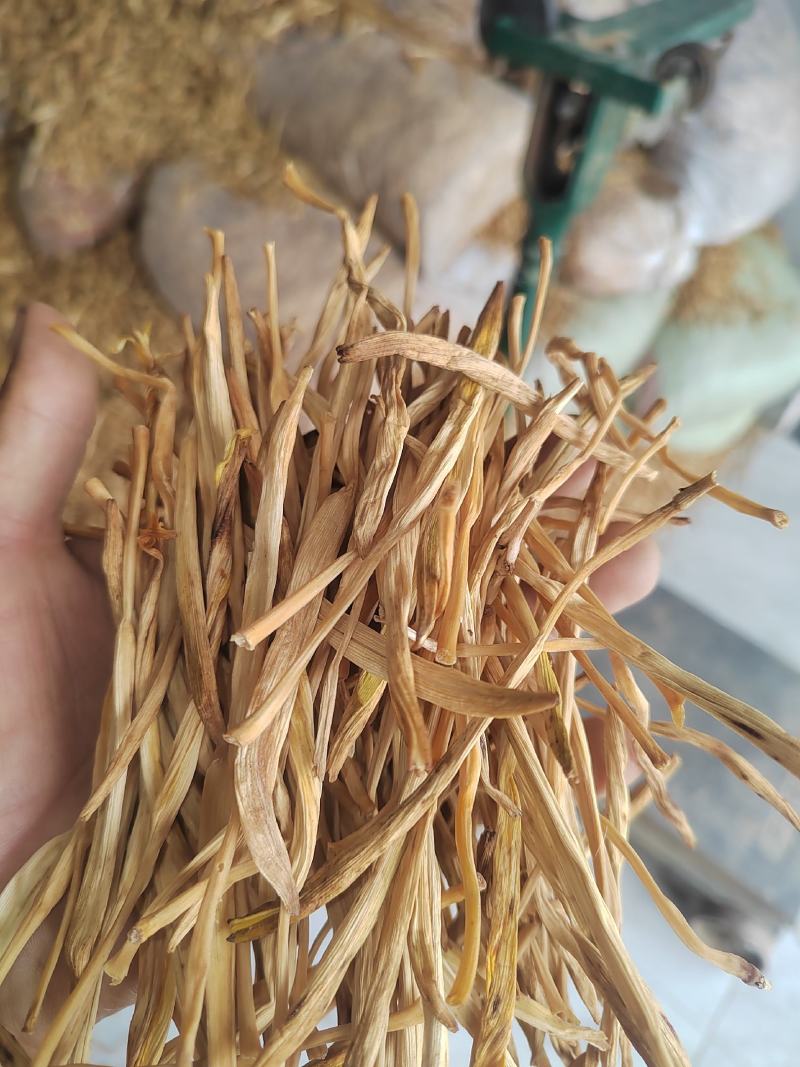 甘肃庆阳原品干菜黄花菜产地一手货源欢迎来电咨询