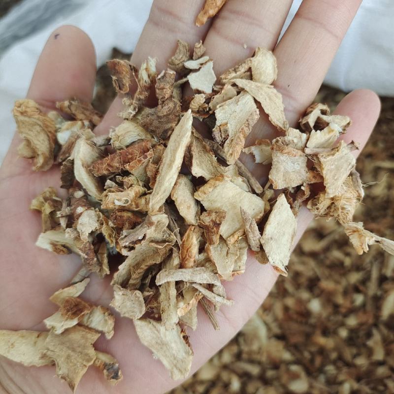 知母好货知母丁纯干货实物拍摄产地河北省