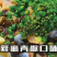 商用版烤鱼调料/麻辣/香辣/泡椒/酸菜/木姜子味