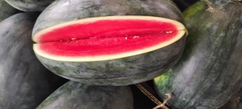 黑美人